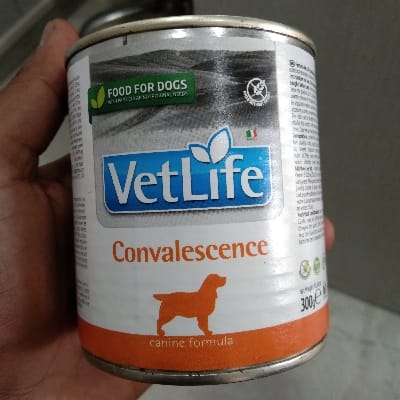 Vetlife convalesence