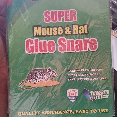 Rat Trap