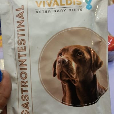 Vivuldis gastrointestinal 80gm