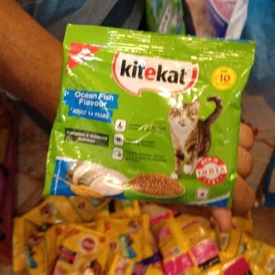 Kitekat adult 35gm