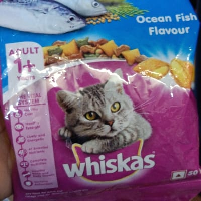 Whiskas ocean adult 50gm