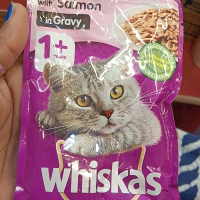 Whiskas salmon gravy 1+ (85gm)