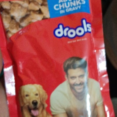 Drools adult gravy