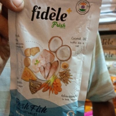 Fidel fresh fish gravy