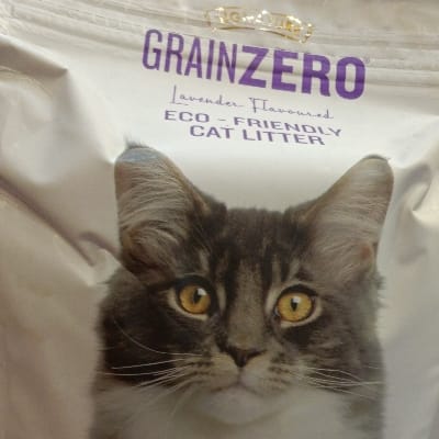 Grainzero cat litter 8kg