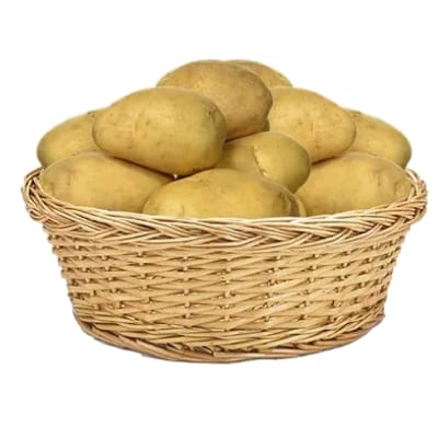 potato (Alu) ×5kg bag.