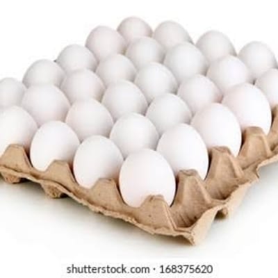 EGG TRAY