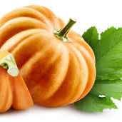 PUMPKIN