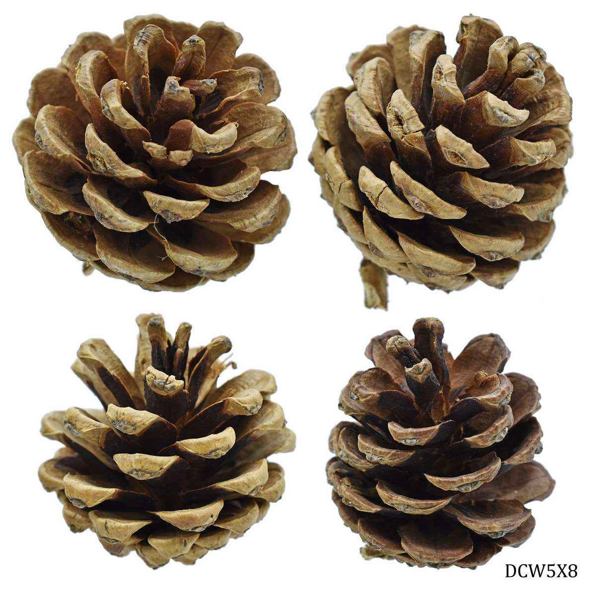 DIY Craft Pine Wooden Showpiece Flower 4 Pcs Size 5x8cm DCW5X8