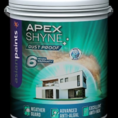 Apex Shyne Ay2 4ltr