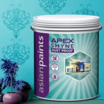 Apex Shyne ay11 4ltr