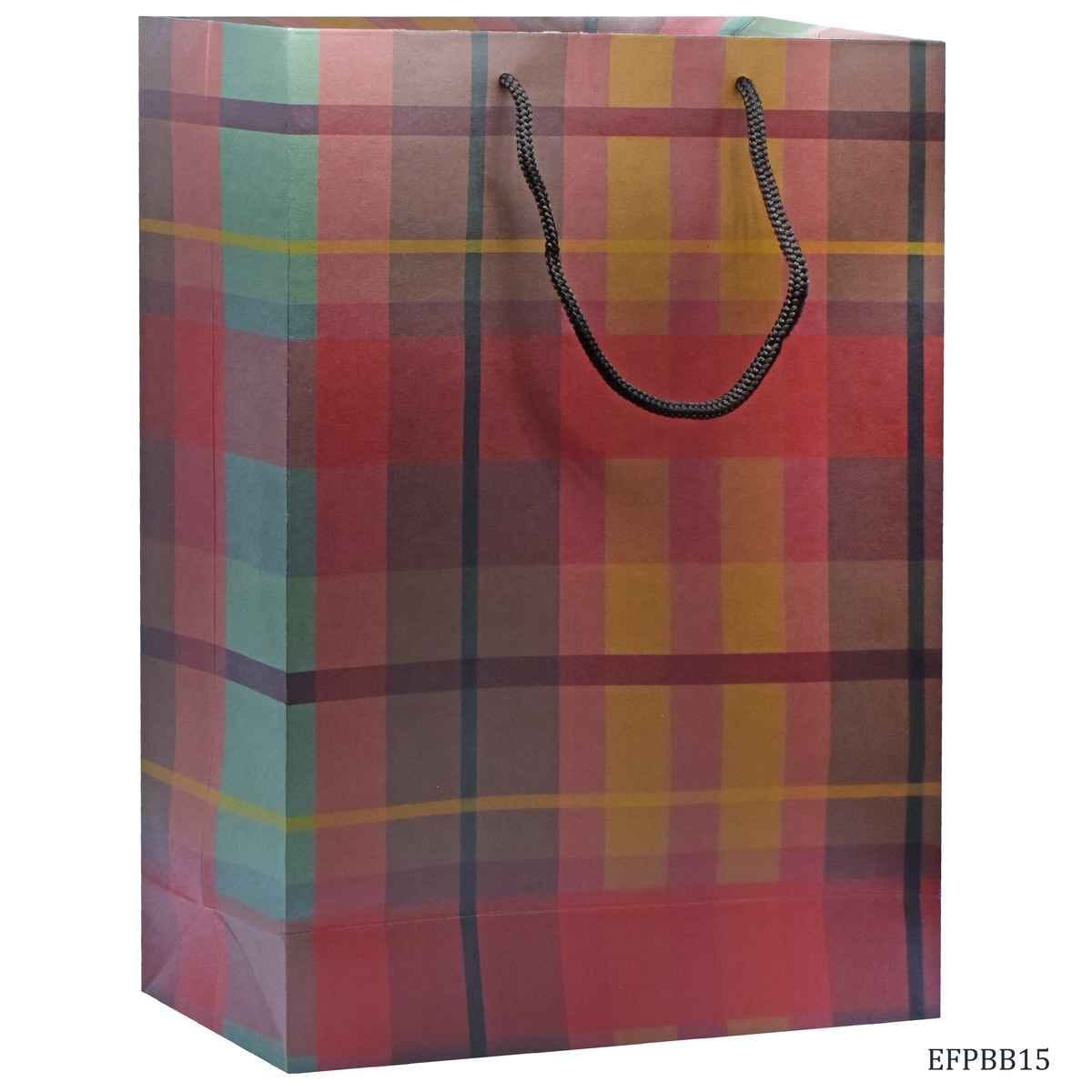 Eco Friendly Paper Bag Big 14.3X10.7 inches Square Design EFPBB15