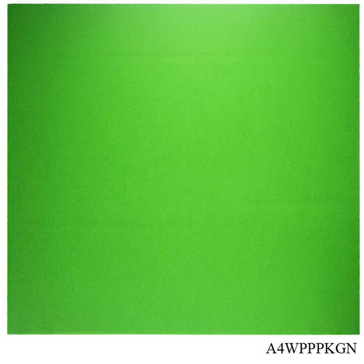 Green Plain Vellum Paper A4 Size 120gsm 20 Sheets A4WPPPKGN