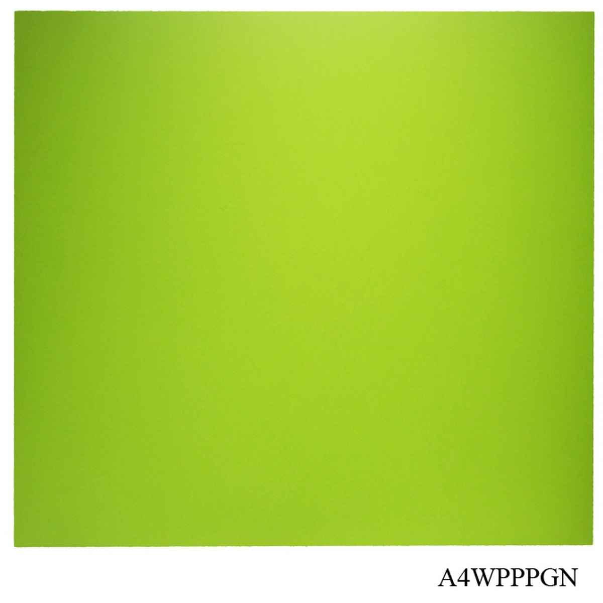 Parrot Green Plain Vellum Paper A4 Size 120gsm 20 Sheets A4WPPPGN