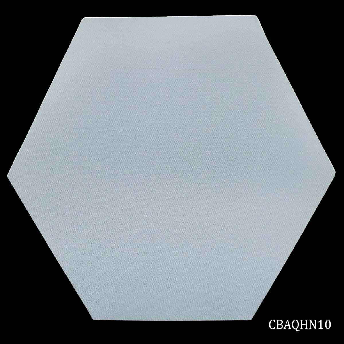 10 Inches Hexagon Shape White Canvas Board Artist Quality CBAQHN10