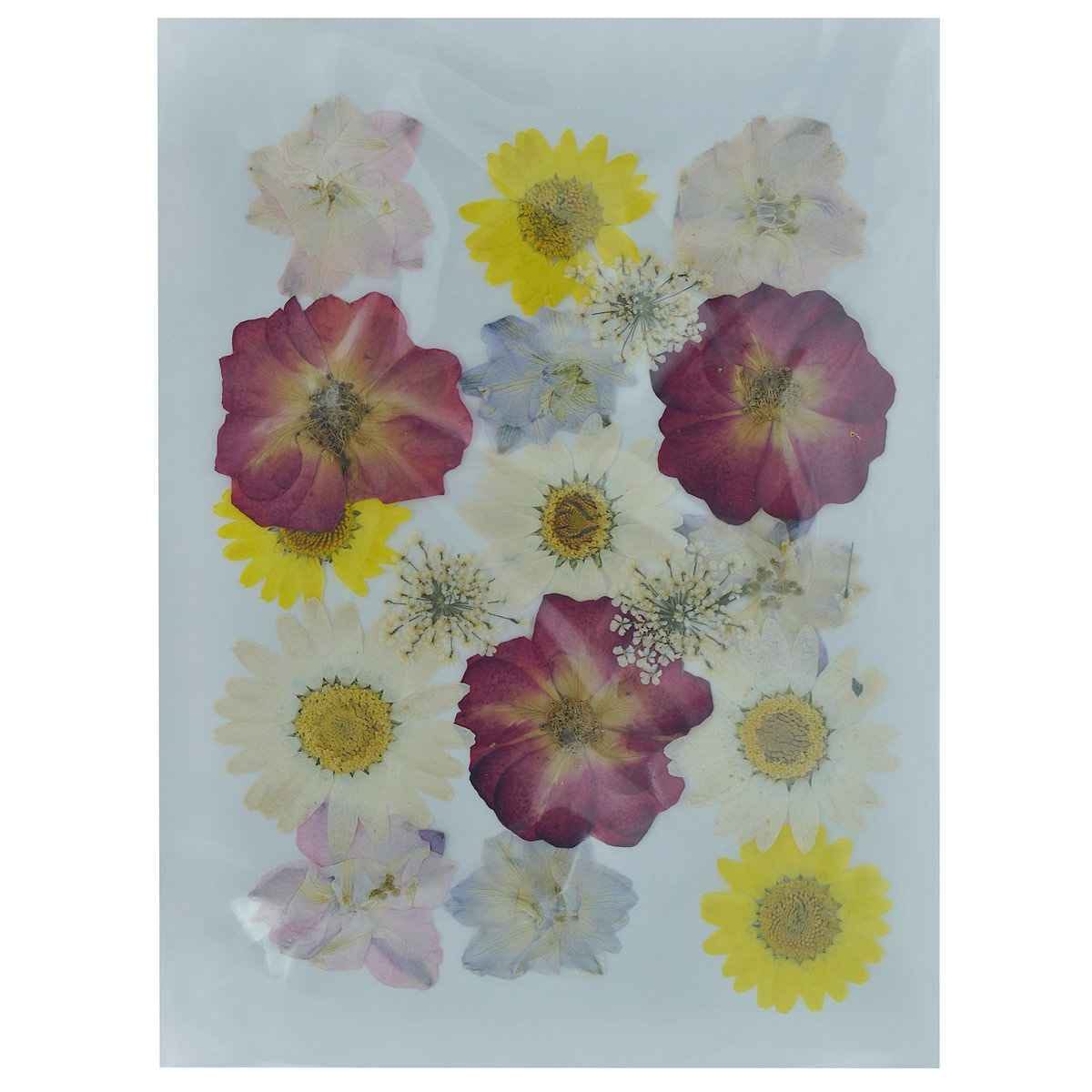 Dried Flower Design Pack of 18 Pcs of Dried Flowers. YWFL-13