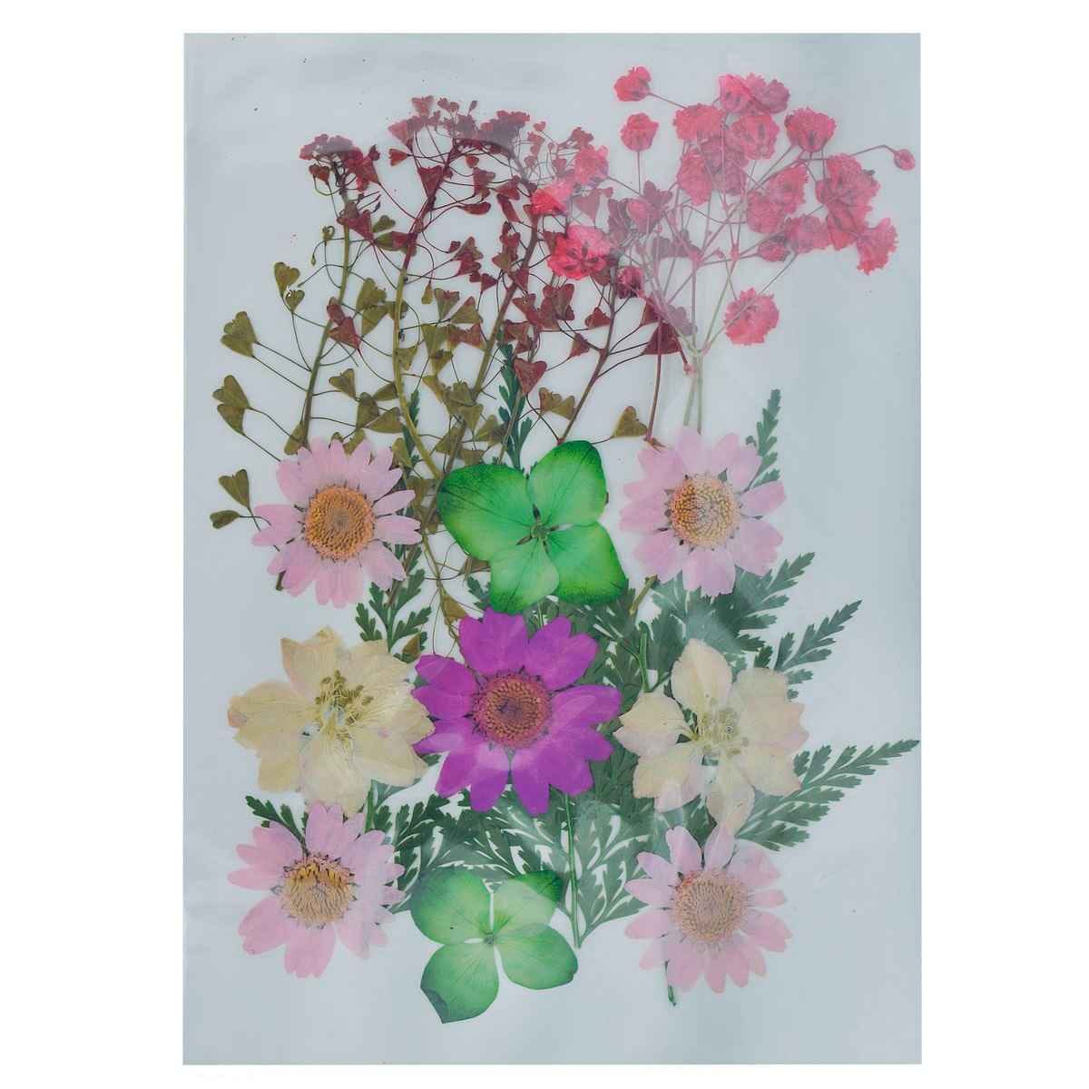 Dried Flower Design Pack of 20 Pcs YWFL-15