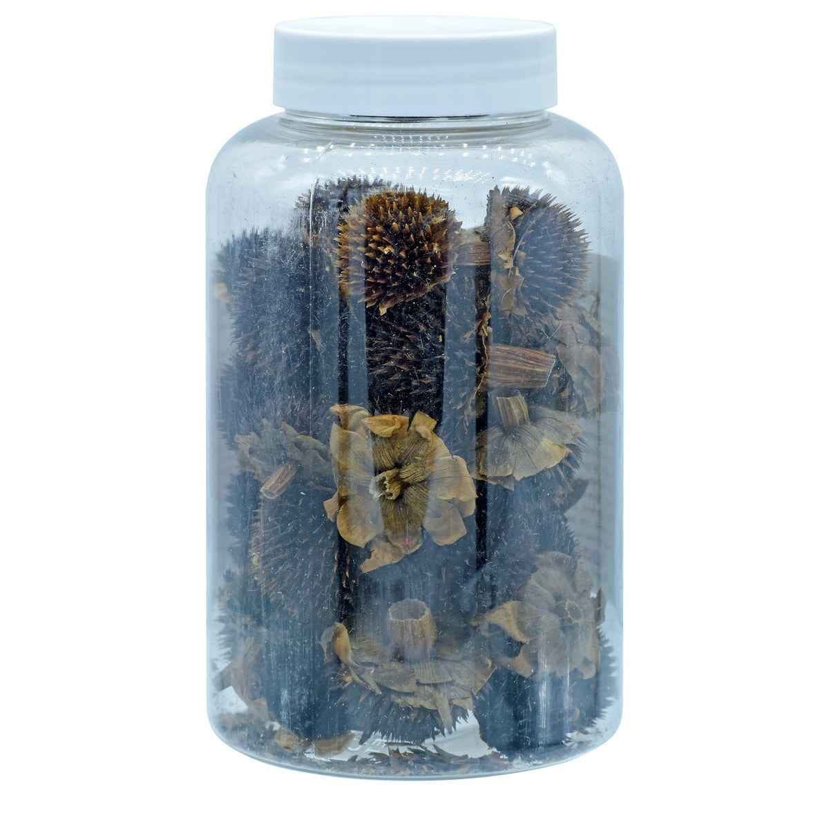Dried Flower Sunflower Heads 40 gms DFRB02