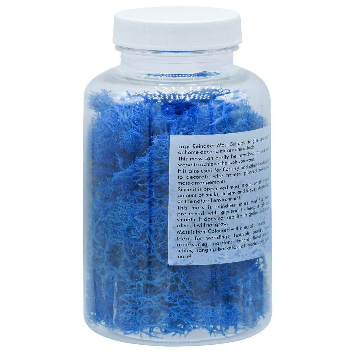 Reindeer Moss 20 gms Dark Blue JIM205