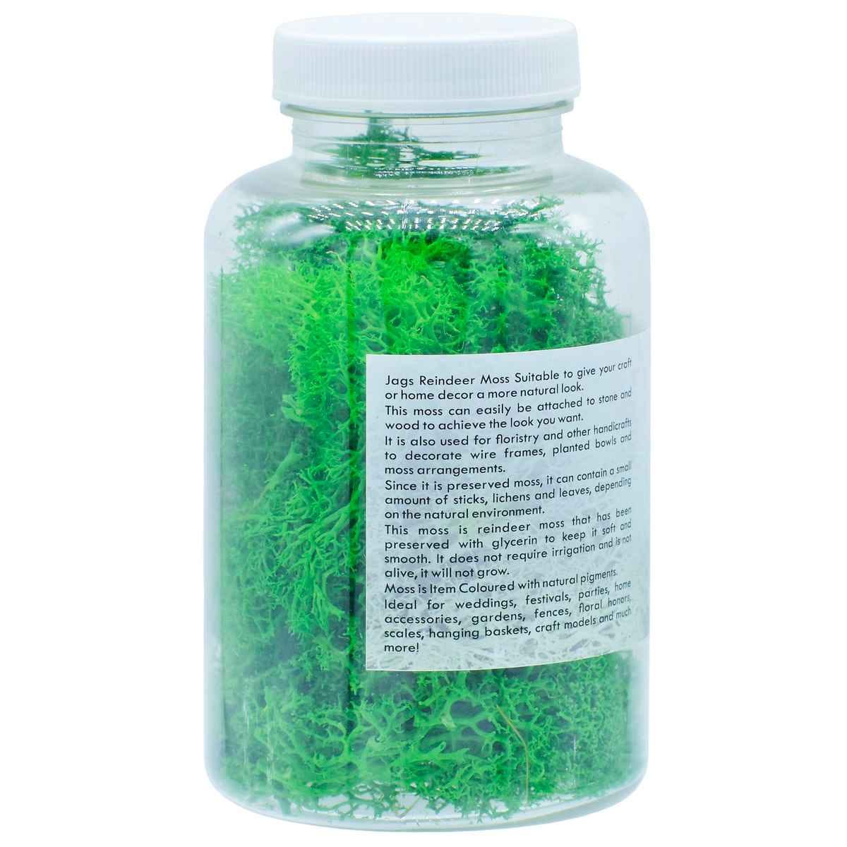 Reindeer Moss 20 gms Dark Green JIM200