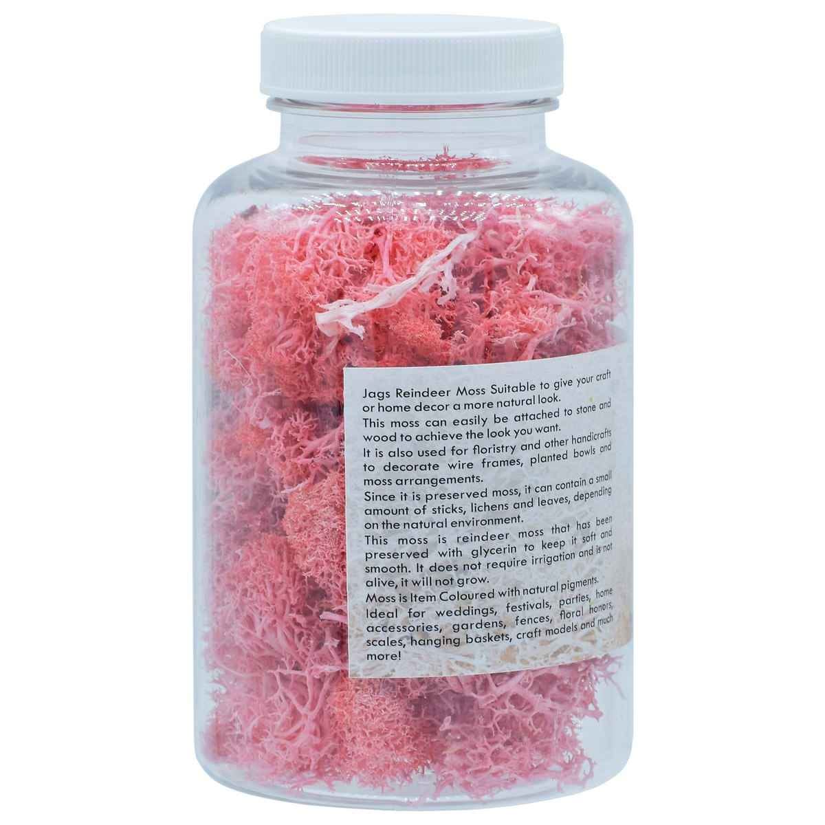 Reindeer Moss 20 gms Light Pink JIM206