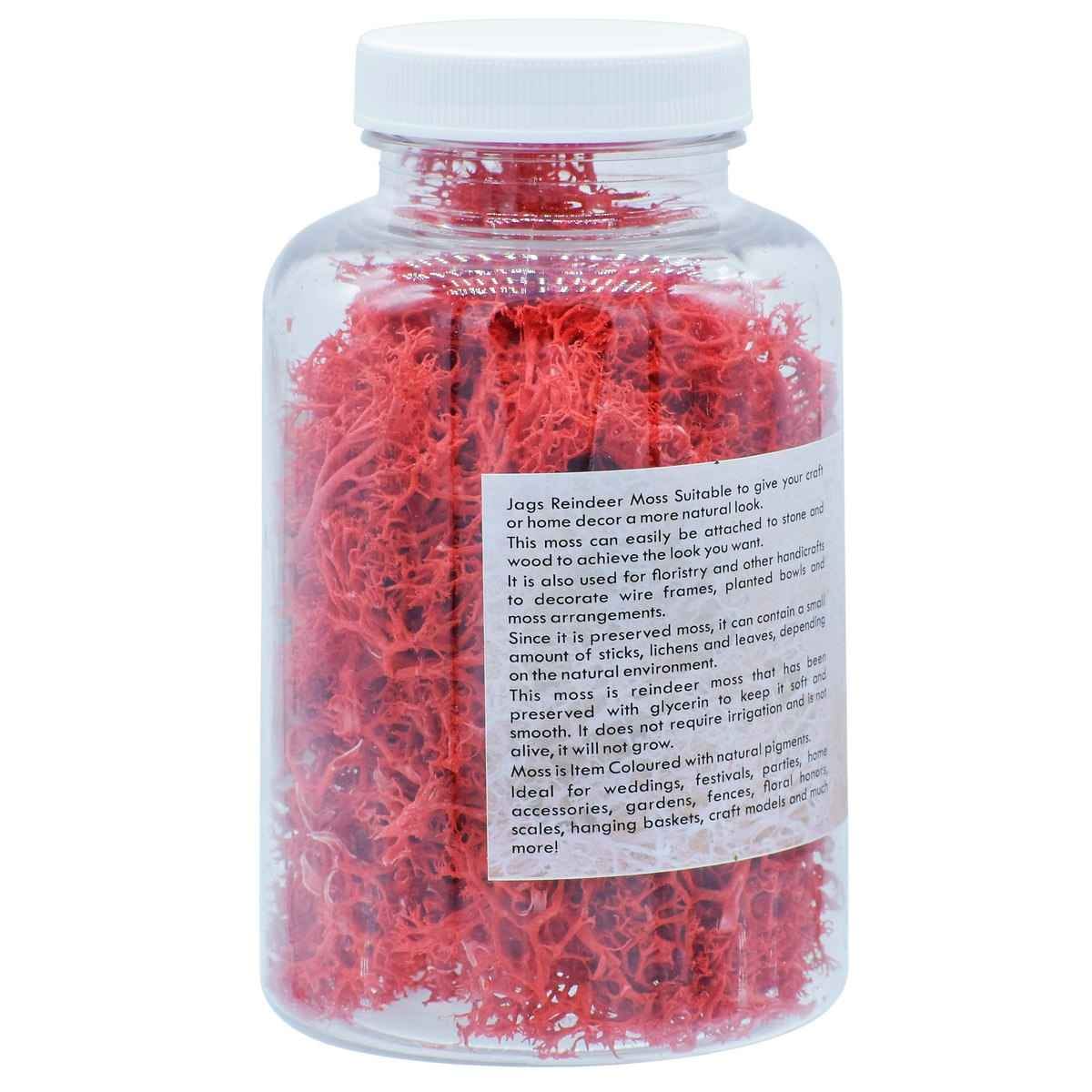 Reindeer Moss 20 gms Red JIM204