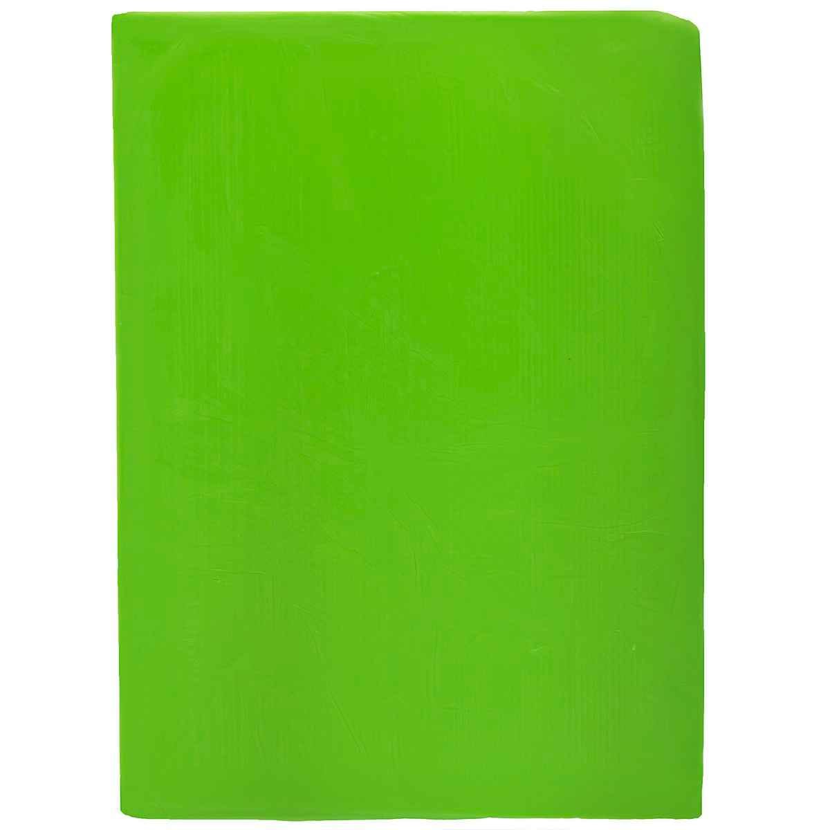 Fluorescent Green Polymer Oven Bake Clay 250 Grams Size LxBxH: 10x15.5x1 cm PCLAY-FGN