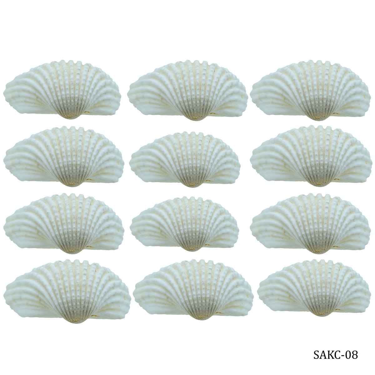 Decorative Shells Kakinada Chippi 100 grams SAKC-08