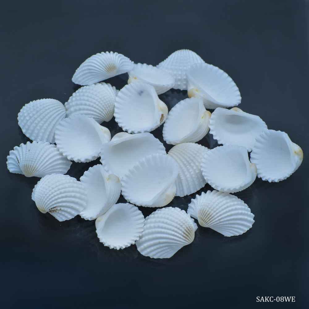 Decorative Shells Kakinada Chippi 100 grams SAKC-08WE