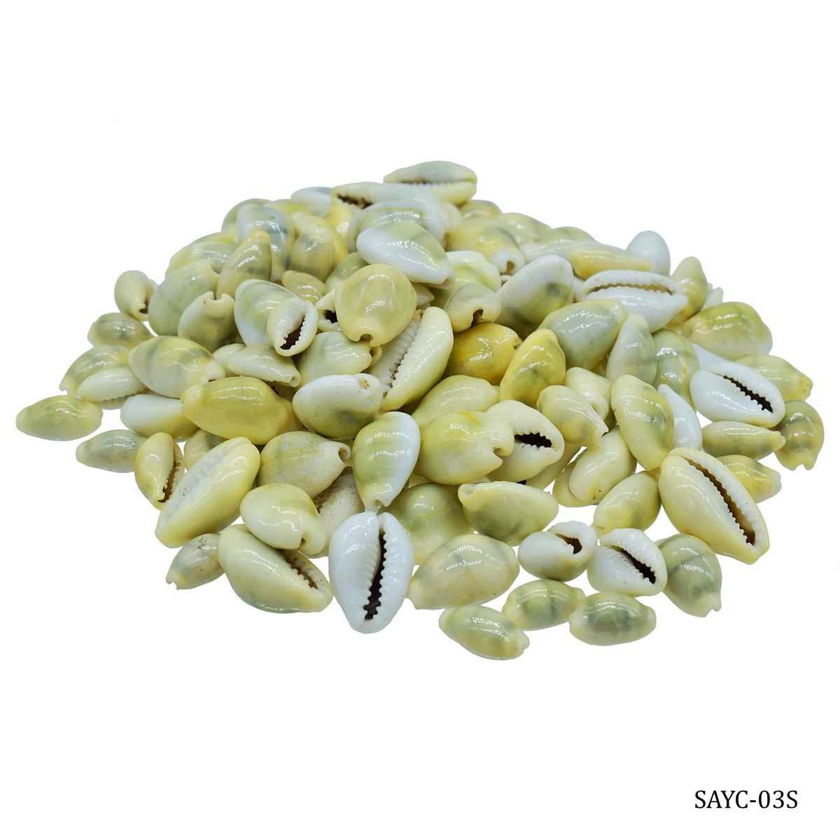 Decorative Shells Ordinary Cowrie Yellow Small 50 grams SAYC-03S