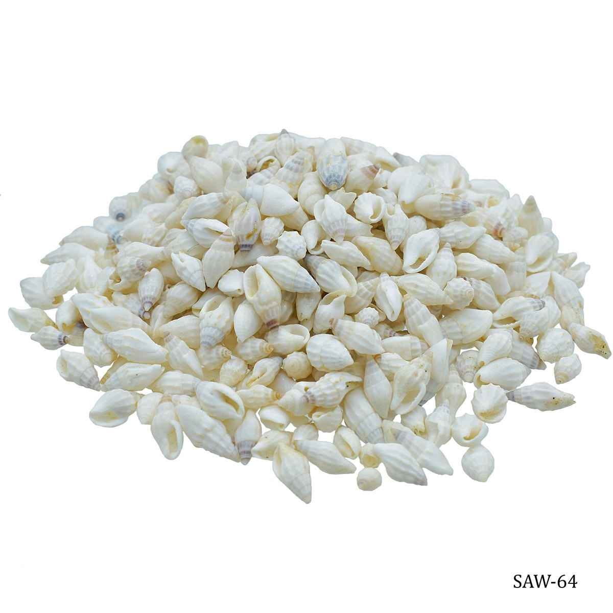 Decorative Shells White Oori Sangh Mani 100 grams SAW-64