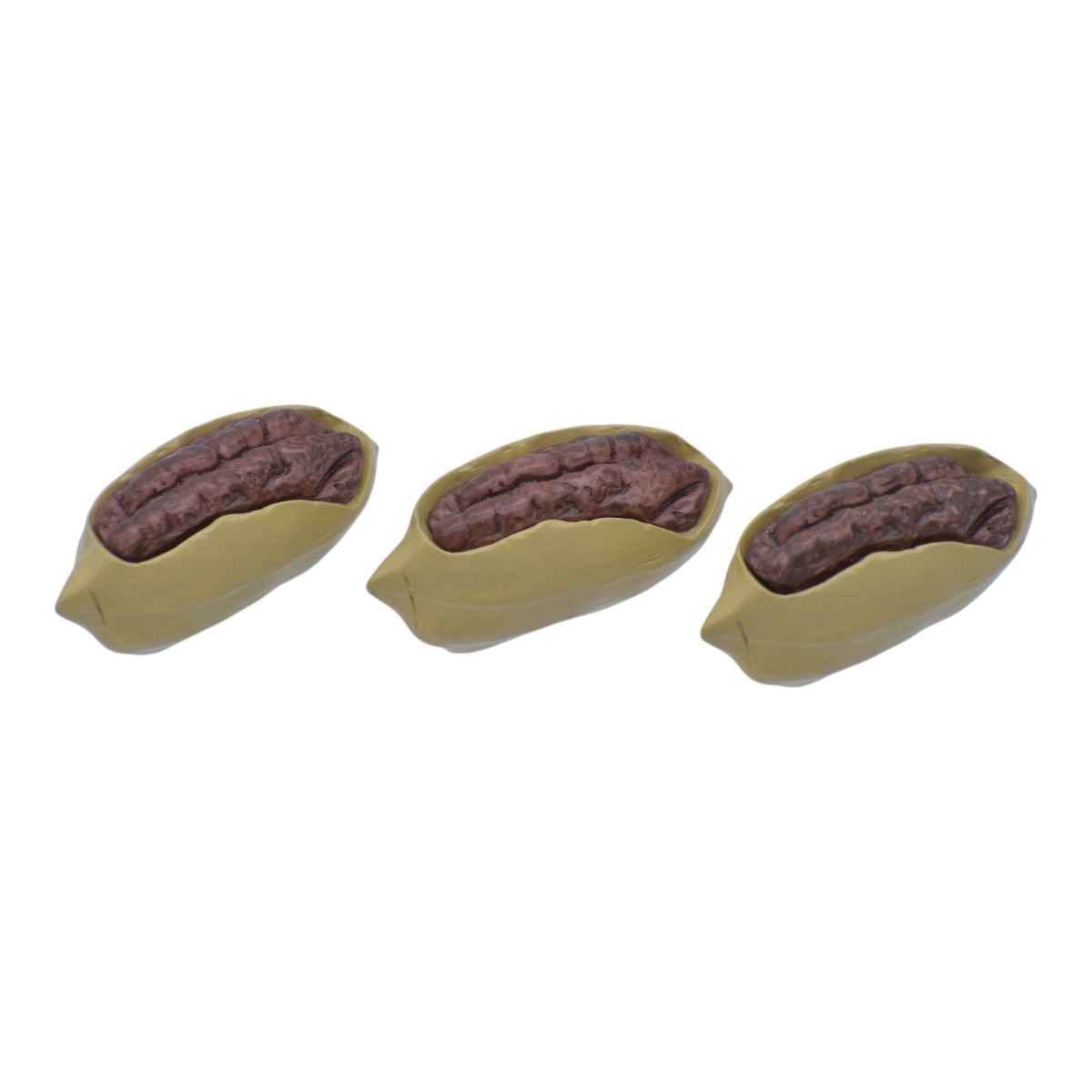 Miniature Open Pea Nuts Pack of 3 Pcs C1515-4