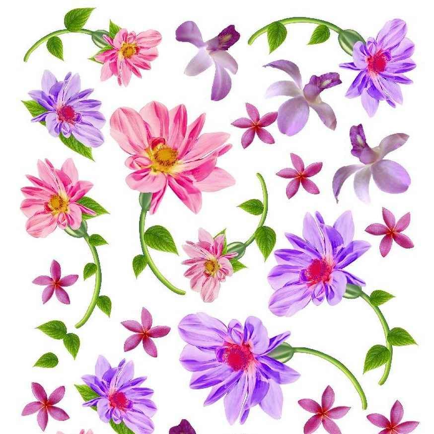 A4 Sospeso Transparent Sheet Resin Flower Printed Sheet JSDS01A