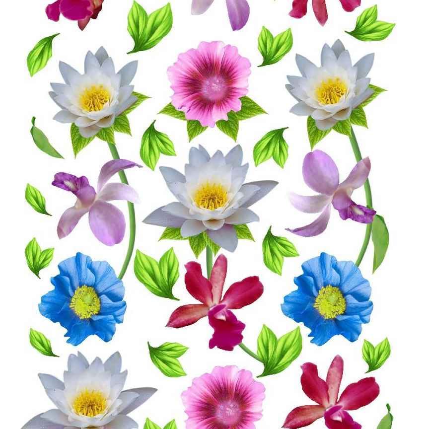 A4 Sospeso Transparent Sheet Resin Flower Printed Sheet JSDS02A