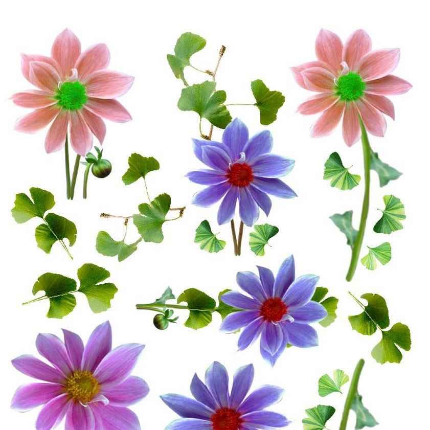A4 Sospeso Transparent Sheet Resin Flower Printed Sheet JSDS04A
