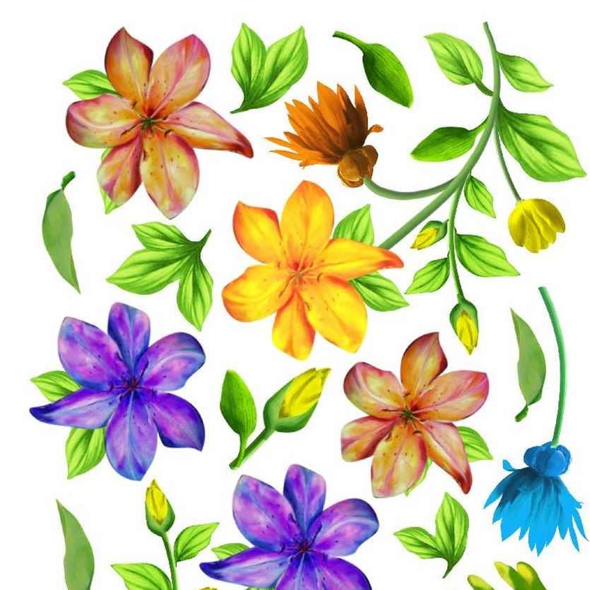A4 Sospeso Transparent Sheet Resin Flower Printed Sheet JSDS05A