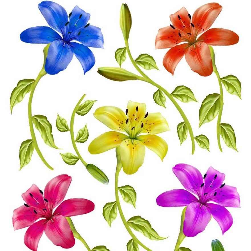 A4 Sospeso Transparent Sheet Resin Flower Printed Sheet JSDS06A