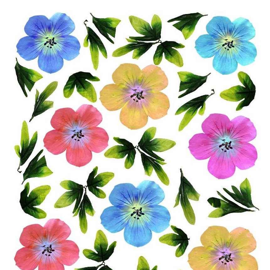 A4 Sospeso Transparent Sheet Resin Flower Printed Sheet JSDS07A