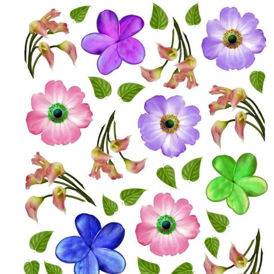 A4 Sospeso Transparent Sheet Resin Flower Printed Sheet JSDS10A