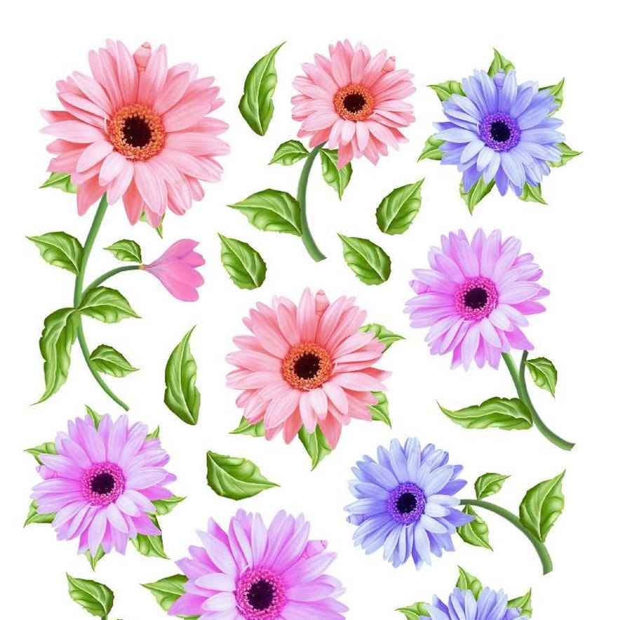 A4 Sospeso Transparent Sheet Resin Flower Printed Sheet JSDS11A