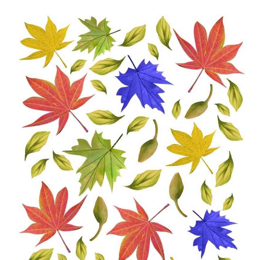 A4 Sospeso Transparent Sheet Resin Flower Printed Sheet JSDS13A