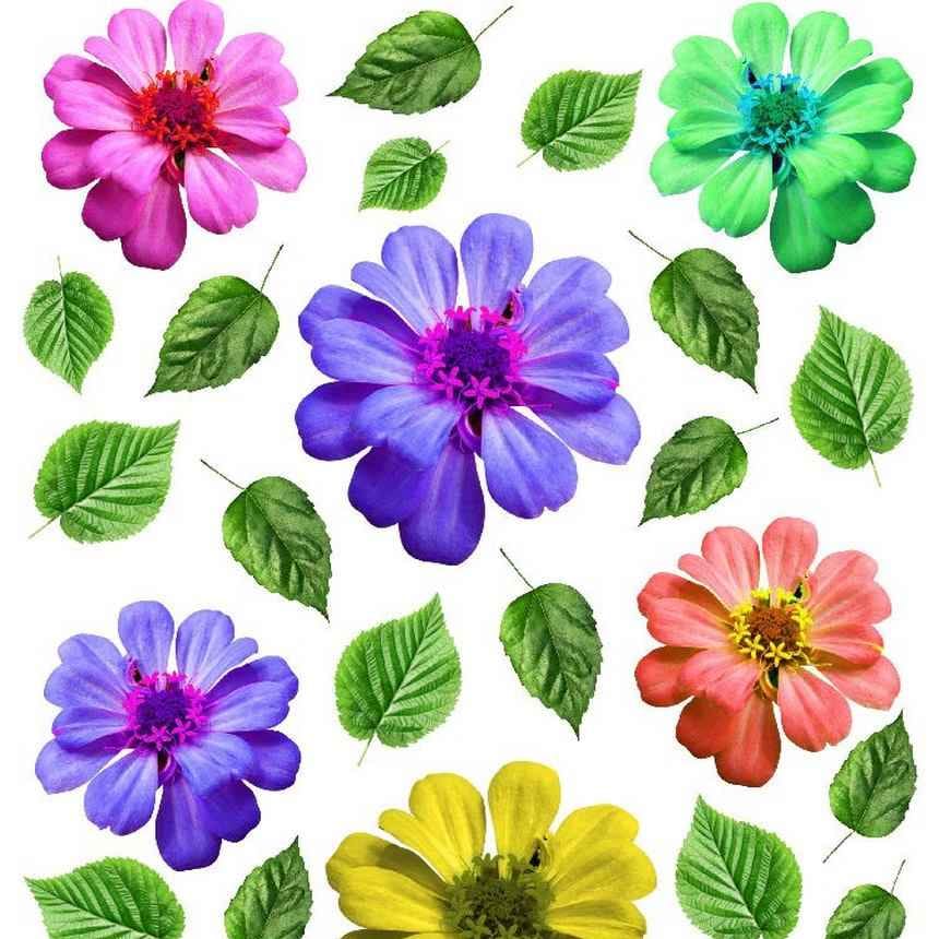 A4 Sospeso Transparent Sheet Resin Flower Printed Sheet JSDS14A