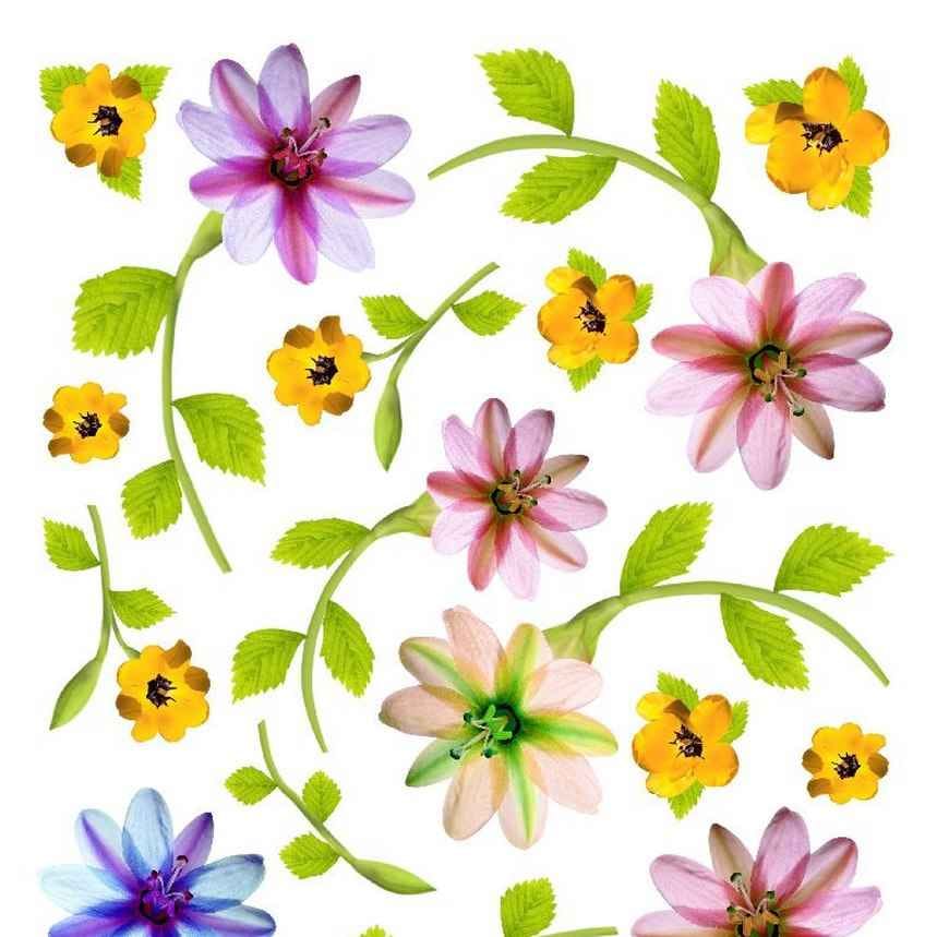 A4 Sospeso Transparent Sheet Resin Flower Printed Sheet JSDS15A