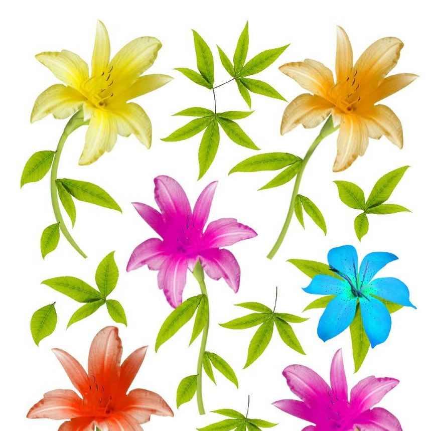 A4 Sospeso Transparent Sheet Resin Flower Printed Sheet JSDS16A