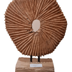 Wooden Articraft Mix A-DECOR-12