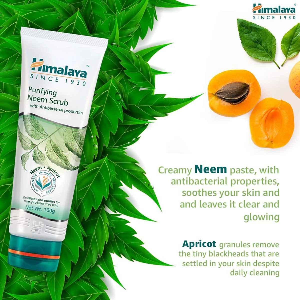 Neem Scrub 50 ml