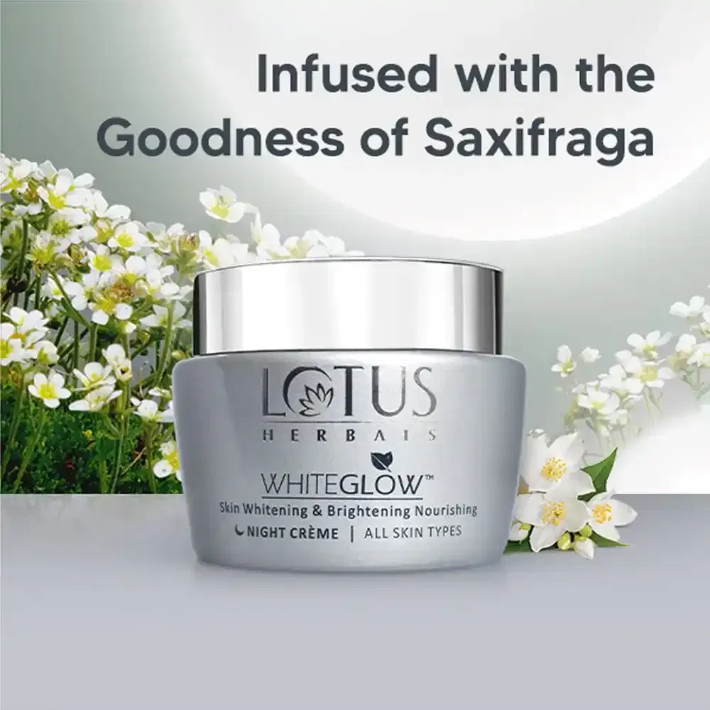 Lotus Night Cream 60g