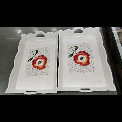 Plastic white tray