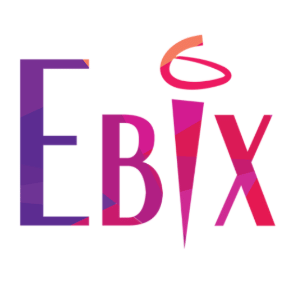 EBIX TRAVELS PVT LTD