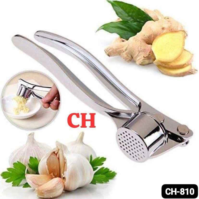 Stainless Steel Garlic Press